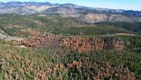 Killer beetles, tinderbox forests: Climate change costs center stage at Supreme Court