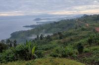 DRC-Rwanda: The Long Road Beyond the M23