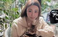 Killing of Abby Choi, Hong Kong socialite likely linked to finance dispute