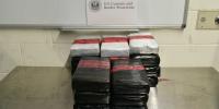 Mexican woman arrested for trying to smuggle $628K worth of cocaine into the US, CBP says