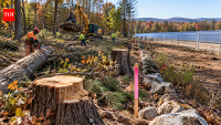 Workers clearing land for a solar farm in New Hampshire cut 30 trees on the wrong property; settlement with the electric company and tree service hit $100,000