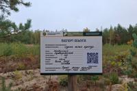 QR-code stands are being massively installed in Belarusian forests