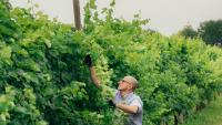 What to Do in Italy's Prosecco Region—Beyond the Wine