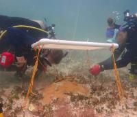 Can shade save Florida’s coral reefs?