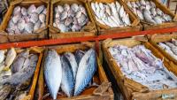 Fish, seafood exports reach $125m in first quarter