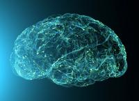Study Reveals Brain Cells that Drive Anxiety After Cannabinoid Exposure