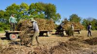 Kentucky farmer's harvest hemp with industry's future in limbo