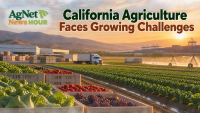Dave Puglia Breaks Down California Agriculture’s Biggest Challenges