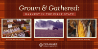New Archives Digital Exhibit Highlights the State’s Fruitful Agriculture Industry