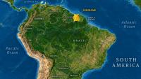 HPAI strikes poultry in Suriname for first time
