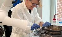 How an EU-funded research programme has been future-proofing art conservation