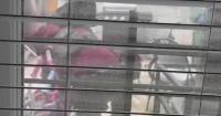 ICE arrest in Baltimore backyard raises question: what can homeowners do?
