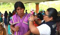 Between health checks and the night chill: The journey of Panamanian Indigenous people crossing into Costa Rica to work in the coffee harvest
