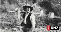 ‘Sad to see it’s gone’: The lost Chinese market gardens that once fed Auckland