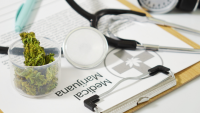 Growing Number of Physicians Are Issuing Medical Cannabis Authorizations