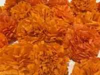 Evanston Latinos flower-making event brings community, tradition to Hispanic Heritage Month
