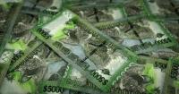 Guyana Development Bank opens doors to new financing for entrepreneurs