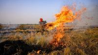 Delhi-NCR winter pollution: CAQM deploys flying squads to monitor stubble burning in Punjab, Haryana