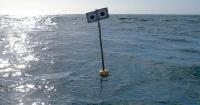 Fishermen use floating scarecrow to save sea birds from drowning