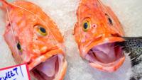 Lessons in customer service excellence from a Seattle fish market