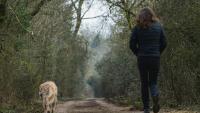 How hiking in nature helped a traumatized shelter dog overcome chronic stress