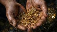 Venezuelan Gold Stuck in Inventory Due to Traceability Failures and Criminal Control