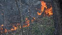 Helene debris 'still a factor' in NC wildfire risk, official says N.C. Forest Service officials warn Helene debris remains a wildfire factor as fall fire season begins across western North Carolina.