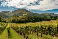 Forgotten France: The electric wines of Irouléguy