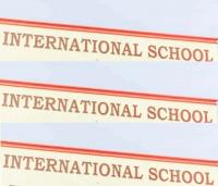 CRACKDOWN! Gov’t Hunts Fake International Schools, Closure Looms