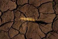 As the world moves forward, U.S. retreats on climate change