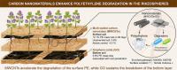 Carbon Nanomaterials Prime Alfalfa Roots to Speed Polyethylene Breakdown in Soil