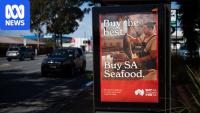 SA government advertising spend hits record levels