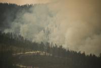 When a forest burns, what does it mean for lakes? Scientists are trying to find out