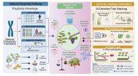 Smart Gene Circuits Could Future-Proof Horticultural Crops