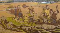 Chinese rice farm stuns holiday travelers with field-wide artworks