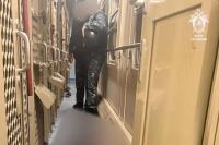 Russian authorities ‘liquidate’ prisoner recently extradited from Georgia
