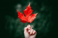 What You Missed in Canadian Marketing: September 2026