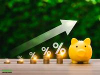 Planning a lumpsum investment in smallcap mutual funds? Check top 3 leaders and  laggards