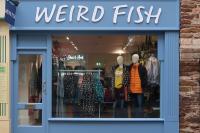 Weird Fish credits “diversified model” for 55% jump in profit