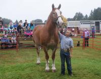 Students learn about life on the farm at Sydenham Fall Fair in Owen Sound