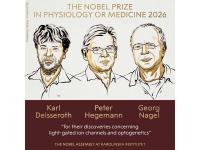 3 scientists get medicine Nobel for brain research