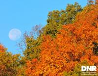 Indiana DNR launches rewards program for Hoosiers to explore state parks and wildlife areas