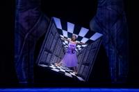 From Curtain Up to Curtain Calls