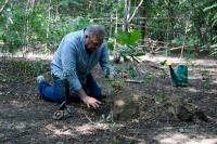 India’s ‘Tree Father’ plants for a greener future