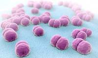 PAHO supports the Dominican Republic in strengthening efforts to eliminate bacterial meningitis as a public health problem