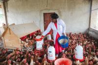Rising feed costs in focus as major agrifood trade show comes to Kigali