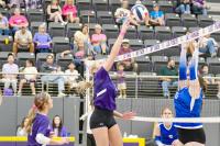Lady Farmers sweep Quinlan Ford