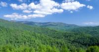 U.S. Forest Service’s roadless rule repeal threatens North Carolina’s old-growth trees