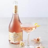 Summer is calling: great wine, food, music and more at Durbanville Hills