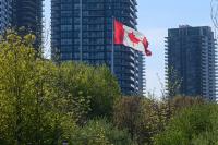 Canadians more intelligent than Americans, but not smartest in world: Study